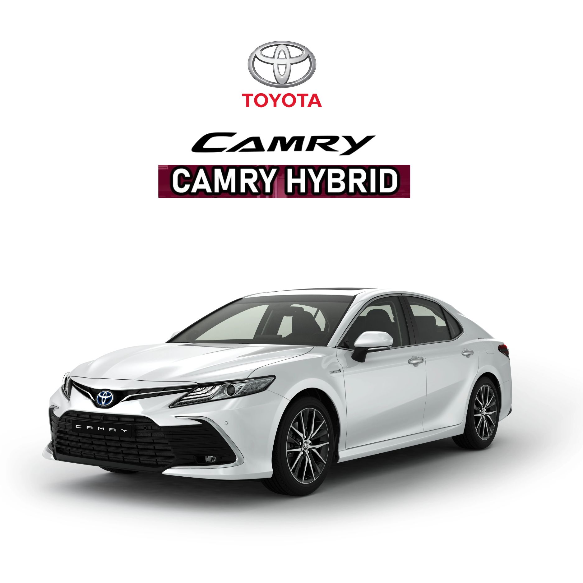 TOYOTA  CAMRY HV  2.5V สีขาว 2023 TOP Option